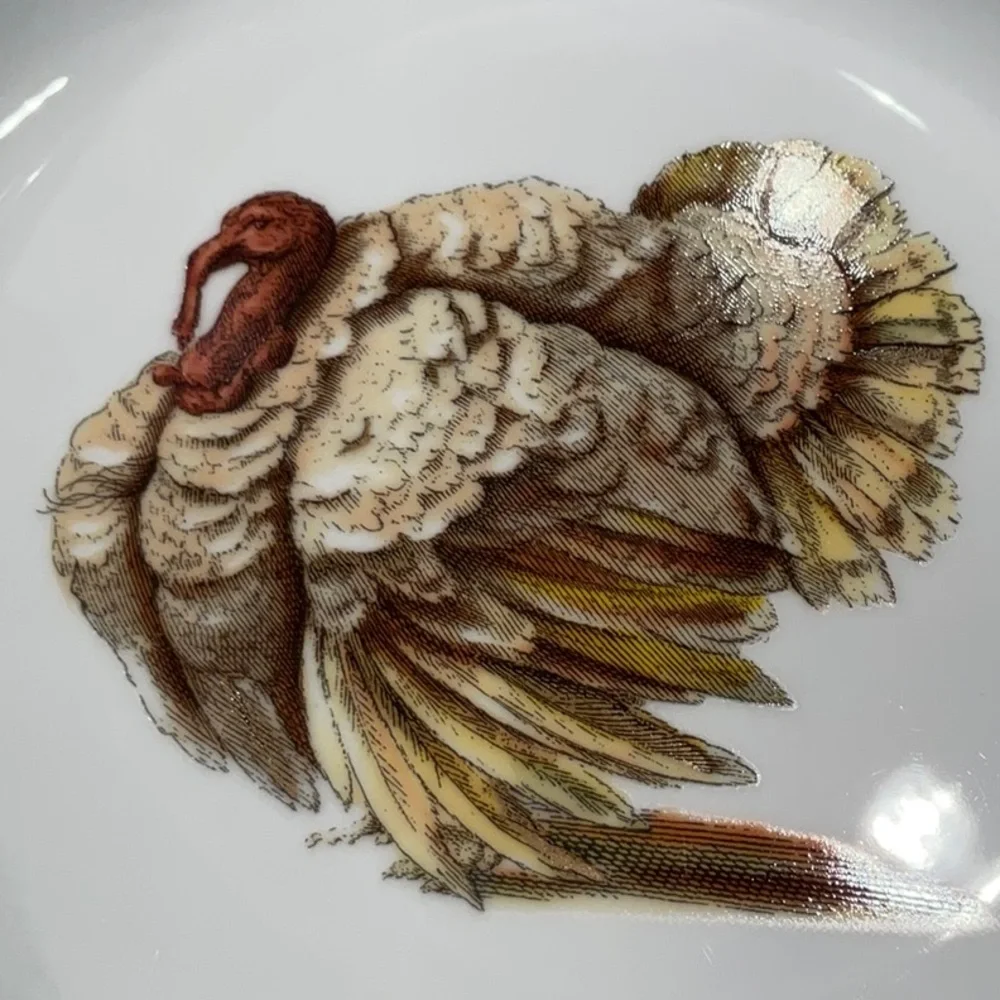 Fabulous, 2012, 4 Williams Sonoma Turkey soup bowls.  Mint, only owner me.